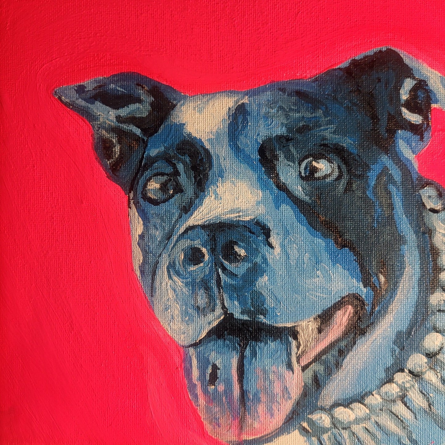 Workshop - Pop Art Pets