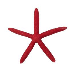 Starfish