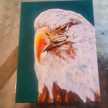 Custom Pet Portraits