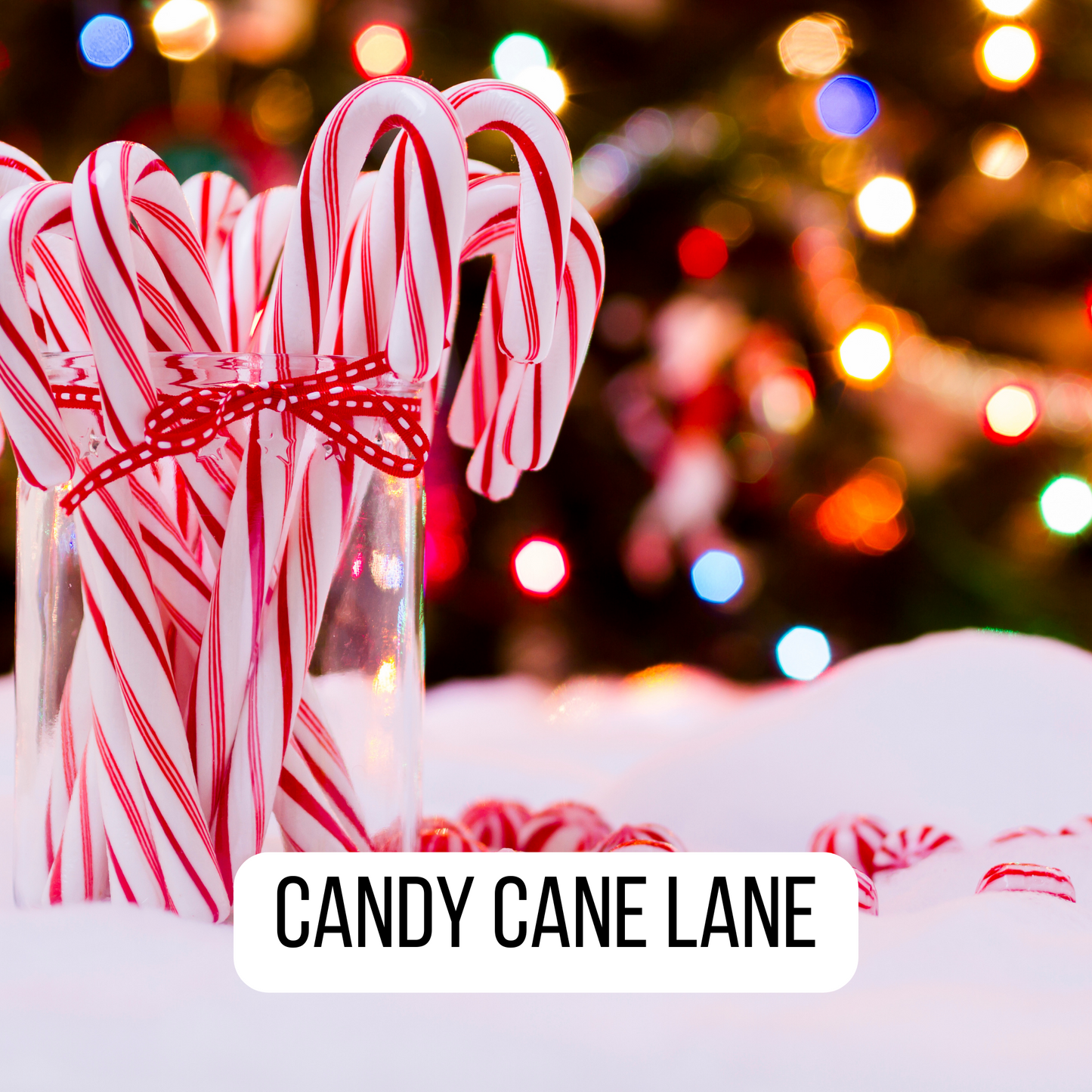 Candy Cane Lane Fragrance Oil