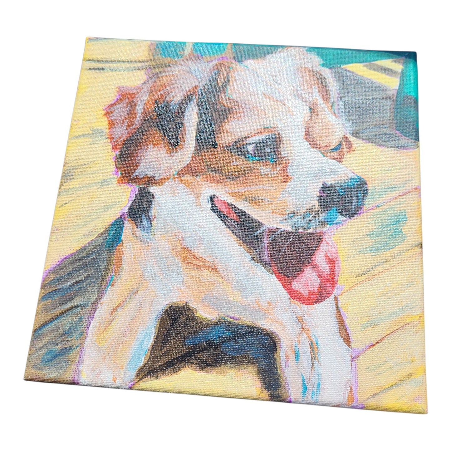 Custom Pet Portraits