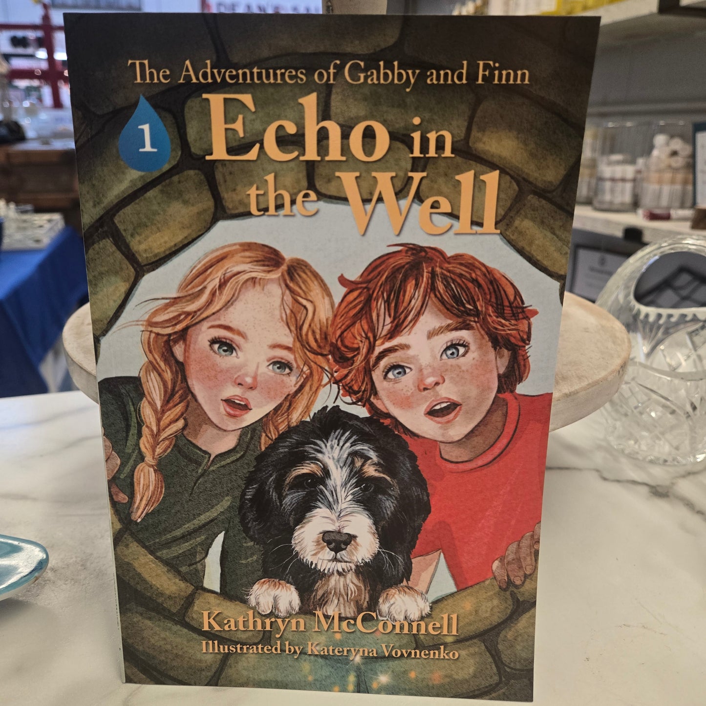Echo in the Well
