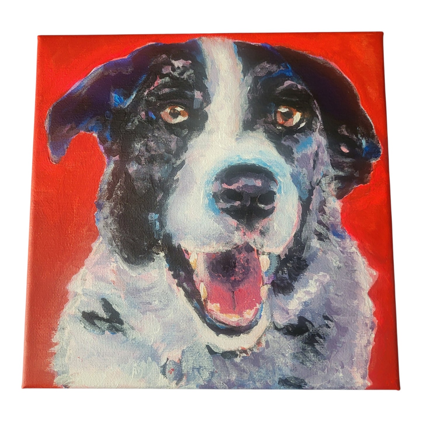 Custom Pet Portraits