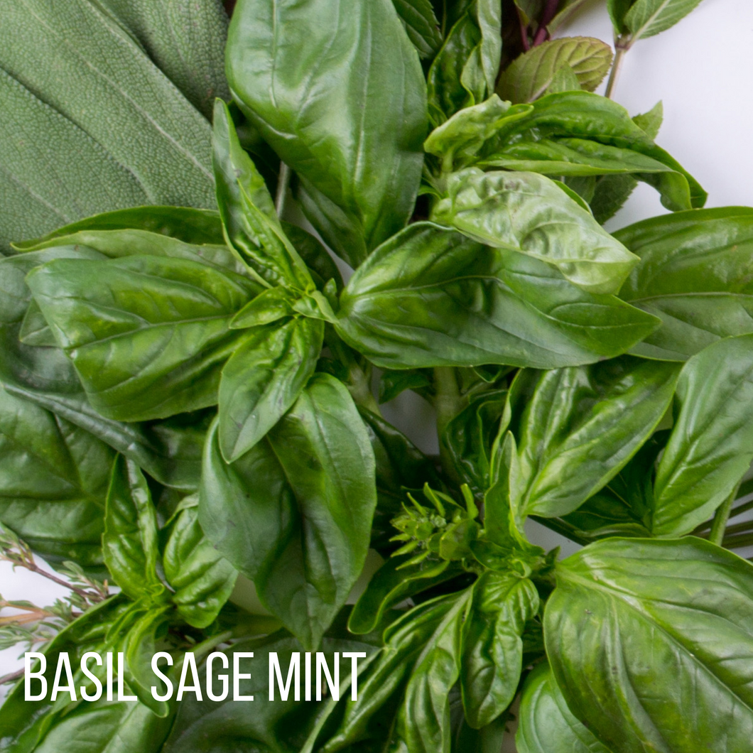 Basil, Sage & Mint Fragrance Oil