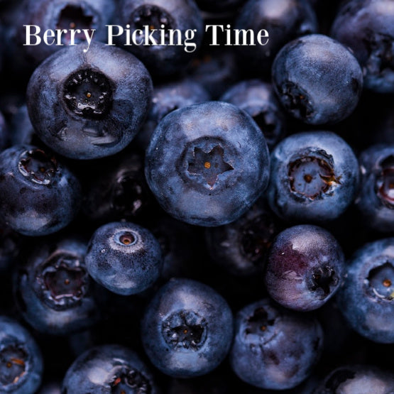 Berry Picking Time Fragrance Oil