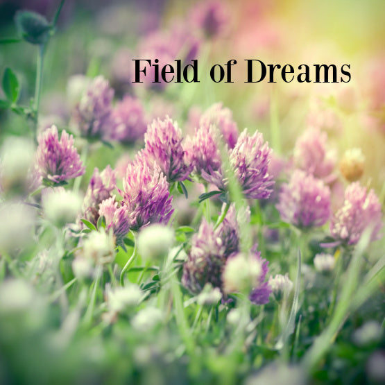 Field of Dreams Fragrance Oil