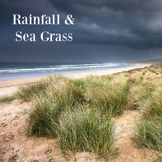 Rainfall & Seagrass Fragrance Oil