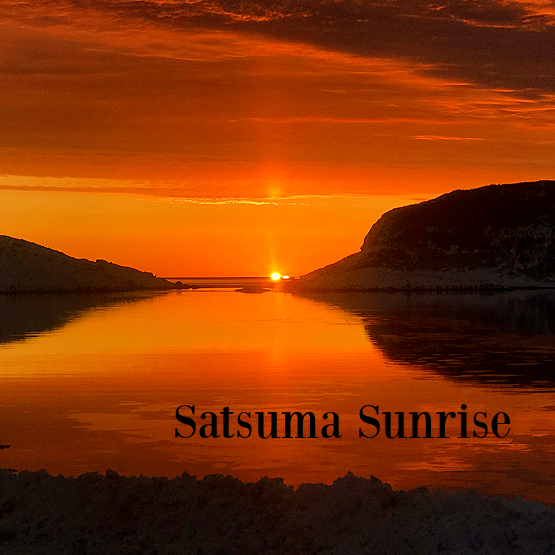 Satsuma Sunrise Fragrance Oil